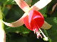 Gloeckerl08_004